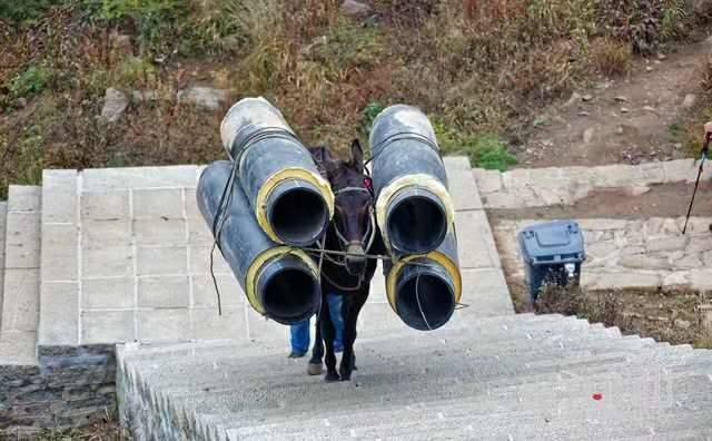 随州马帮运输